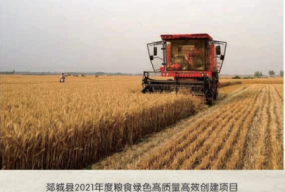 高效粮食创建